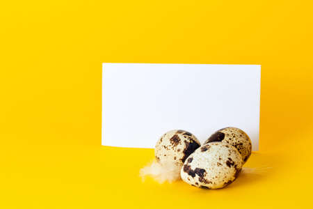 Visiting card with quail eggs and feather on yellow paper background with copy space. Empty text...
