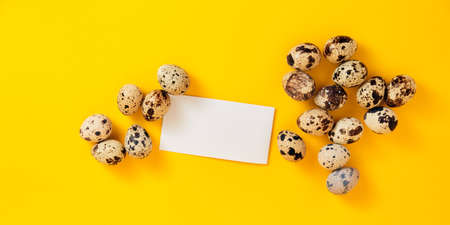 Banner with visiting card, quail eggs, feather on yellow paper background. Copy space. Empty text place. Mockup design of Easter holiday decoration. Healthy food. Business card. Paper note, message.の写真素材