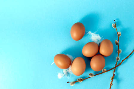 Big size eggs, feather, pussy willow twig on blue background. Copy space. Empty text place. Easter...