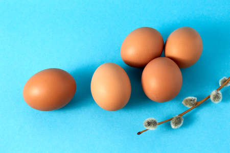 Five big size eggs and pussy willow twig on blue background. Copy space. Empty text place. Easter...