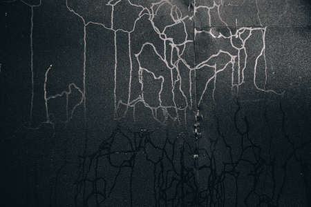 Condensate raindrops texture on a black and white background. Abstract pattern or blank for design. Cold abstraction. Banner. Copy space. Gray or gray gradient. Metal and water wallpaper. Morning dew.の写真素材