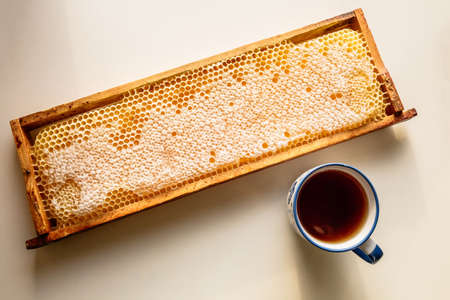 Cup of tea and honey comb. Yellow background from honeycombs. Sweet healthy food. Natural organic sugar. Golden nature. Abstract pattern. Wallpaper. Copy space. Banner. Hexagon texture. Relax time.の写真素材