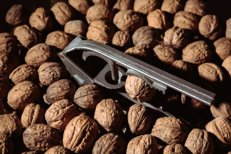 Walnut in a nutcracker close-up. Dark background. Beautiful background with food. Healthy...