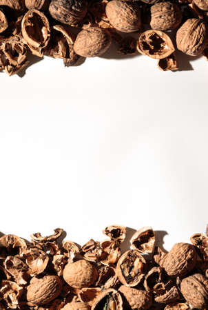 Empty walnut shell frame. Textured nut border with white place background. Business card. Mockup design certificate. Alternative fuel. Copy space. Waste food. Brown color. Template. Banner. Top view.の写真素材