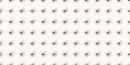 Seamless pattern with big spider isolated on white background. Large representative of the domestic arachnid. Fear or spider phobia. 8 legs. Copy space. Studio photo. Flower shape art concept.の写真素材