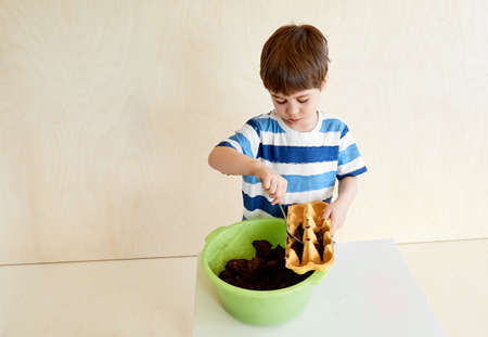 A little boy is planting seeds for seedlings.Life hack for gardeners. An interesting activity and a useful hobby for child. Preschool education. Human and nature. Growing plants. Farming. Copy spaceの写真素材