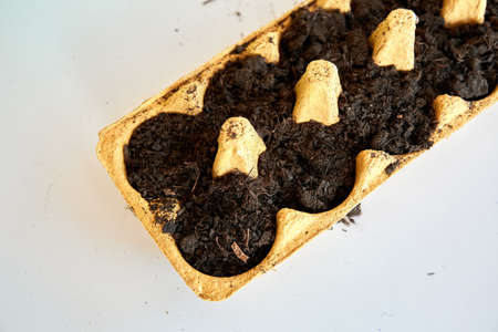 The soil and form for planting seeds for seedlings. Life hack for gardeners. Using egg box....