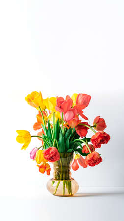 Big flowers bouquet of multicolored tulips in vintage glass vase on white color background with copy...