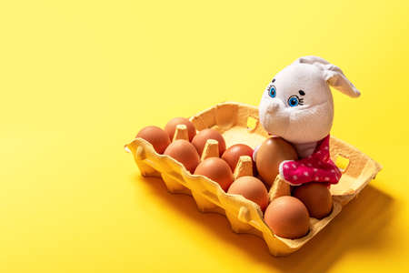 Banner with white Easter bunny laying in the packing with ten eggs on yellow background with copy...