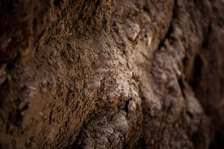 Soil texture. A layer of the earth deep into the close-up. Construction sand. Copy space. Rocky ground background. Soil fertility type. The concept of archaeological excavations. Rough surfaceの写真素材