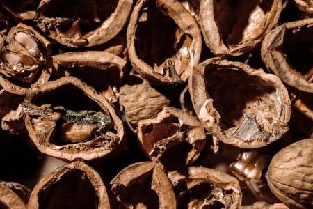 A lot of empty walnut shell. Textured background. Alternative fuel. Close-up. Copy space. Waste...