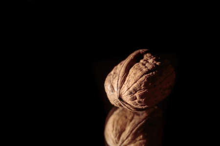 One walnut close-up. Health food. macro. copyspace. Beautiful still life on dark background. Ingredient. Useful brain nutrients. Nut is a tasty diet snack. brown color. wallpaper. photo art. Banner.の写真素材