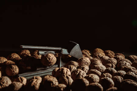 Walnut in nutcracker close-up. Copy space. Beautiful dark background with healthy food ingredient. Useful nutrients. Nut is tasty diet snack. Brown color. Nutshell tool. Full shell. Banner. Wallpaper.の写真素材