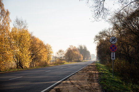 Straight automobile asphalt road among the autumn landscape of yellow trees. wide sandy roadside....