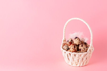 Easter greeting card. White basket with quail eggs and feather on pink background. copyspace. religion symbol. springtime template. Health food. Empty text place. mockup design.の写真素材