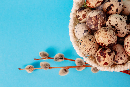 Visiting card, white straw basket full of quail eggs, pussy willow branch on blue paper background with copy space. Empty text place. Mockup design of Easter holiday. handmade decor. Health food.の写真素材
