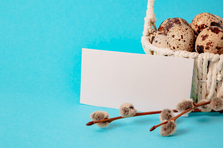 Visiting card, white straw basket full of quail eggs, pussy willow branch on blue paper background with copy space. Empty text place. Mockup design of Easter holiday. handmade decor. Health food.の写真素材