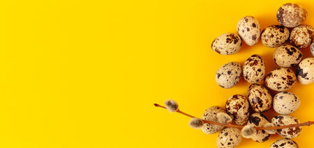 Quail eggs and pussy willow branch on yellow paper background. Copy space, empty text place. easter greeting card. religious layout. spring time design. Health food. Farm organic production. top view.の写真素材