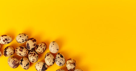 Quail eggs lays on yellow paper background with copy space or empty place for text. Easter holiday. visiting card. religious layout. spring time design. health food product. Farm organic production.の写真素材