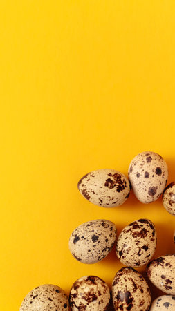 Quail eggs lays on yellow paper background with copy space or empty place for text. Easter holiday. visiting card. religious layout. spring time design. health food product. Farm organic production.の写真素材