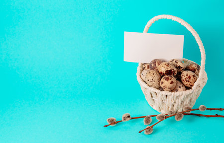 Visiting card, white straw basket full of quail eggs, pussy willow branch on blue paper background with copy space. Empty text place. Mockup design of Easter holiday. handmade decor. Health food.の写真素材