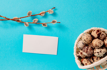 Visiting card, white straw basket full of quail eggs, pussy willow branch on blue paper background with copy space. Empty text place. Mockup design of Easter holiday. handmade decor. Health food.の写真素材