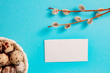 Visiting card, white straw basket full of quail eggs, pussy willow branch on blue paper background with copy space. Empty text place. Mockup design of Easter holiday. handmade decor. Health food.の写真素材