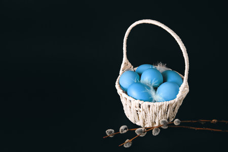 Easter holiday card with basket full of blue painted eggs on black background with pussy willow twigs. copyspace. text place. springtime mockup design. traditional food. Layout. close-up.の写真素材