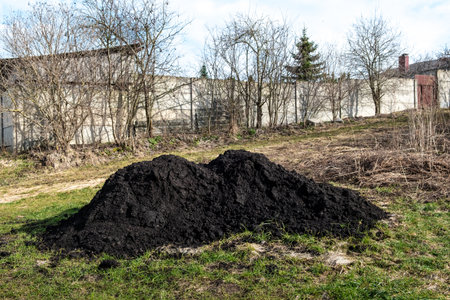 Big pile of black fertile soil. Peat chernozem. Ground for using in the greenhouse og in the garden for planting.の写真素材