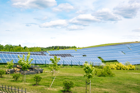 Blue photovoltaic solar panels mounted in the field for producing clean ecological electricity. A...