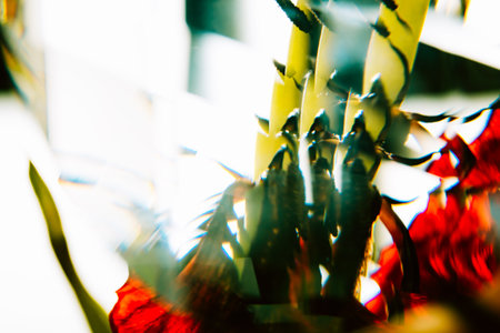 Abstract background of red green and white colors of glass reflection of dry tulip petal. Kibana. Macro detail. Floral art picture. Backdrop of invitation postcard. Photoart. Unusual textured beauty.の写真素材