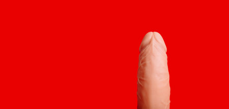 Sex toy close-up. Natural shape of latex dildo. Rubber penis. Vibrator on red background with copy space. BDSM object. Concept of male health. Banner.の写真素材