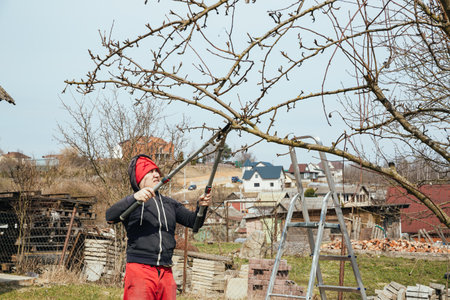 A gardener prunes a branch of tree. Secateurs, gardening scissors - cut tool. Side view. The man hands are cutting off a twig close-up. Garden care. Season of gardening work. DIY. 4k video.の写真素材