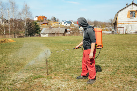 Young tree treatment. Farmer spraying tree with manual pesticide sprayer against insects in spring garden. A person in wearing protective clothing. Pest control. Agriculture and gardening care season.の写真素材