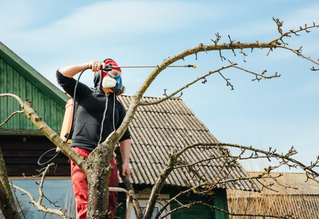 tree treatment. Farmer spraying tree with manual pesticide sprayer against insects in spring garden. A person in wearing protective clothing. Pest control. Agriculture and gardening care season.の写真素材