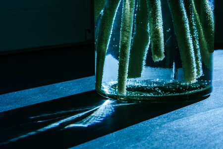 Glass vase with water and flowers stems close-up on black background at night in moon light. Transparent bottle details. Hard light. Valentines day, Mothers day, Womens day. Greeting card. Unusual.の写真素材