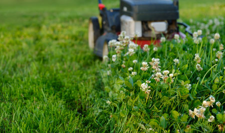 Lawn mower on green grass background. Petrol machine for cutting. Garden care. Electric equipment....