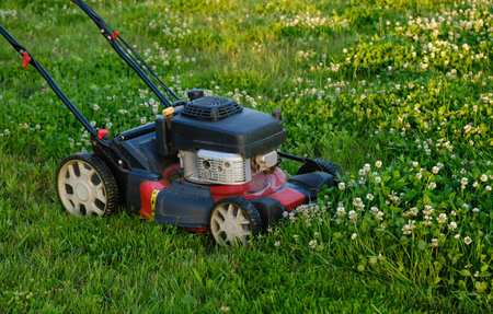 Lawn mower on green grass background. Petrol machine for cutting. Garden care. Electric equipment. Side view. Copy space. Lots of clover weeds. Sport lawn for games. Weed control. High quality photo.の写真素材