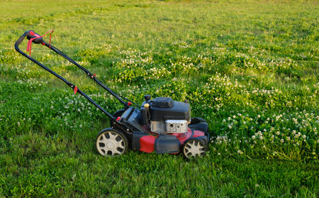 Lawn mover on green grass background. Machine for cutting lawns. Garden care. Electric equipment. Side view. Copy space. Lots of clover weeds. Sport lawn field for games. Banner. High quality photo.の写真素材