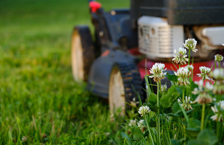 Lawn mower on green grass background. Petrol machine for cutting. Garden care. Electric equipment. Side view. Copy space. Lots of clover weeds. Sport lawn for games. Weed control. High quality photo.の写真素材