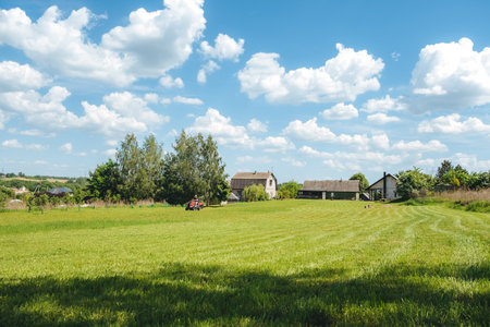 Man on lawn tractor mowing lawn on backyard. The red rider. The lawnmower tractor. High quality 4k footage.