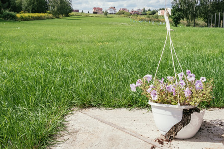 A hanging outdoor white plastic pot with petunias flowers fell and broke. Damage concept after strong wind and hurricane weather. Poorly secured yard decorations. HQ 4K.の写真素材