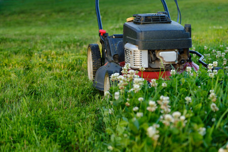 Lawn mower on green grass background. Petrol machine for cutting. Garden care. Electric equipment. Side view. Copy space. Lots of clover weeds. Sport lawn for games. Weed control. High quality photo.の写真素材