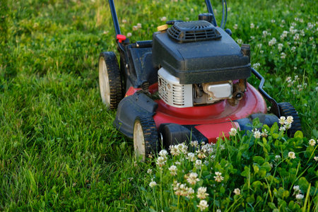 Lawn mower on green grass background. Petrol machine for cutting. Garden care. Electric equipment. Side view. Copy space. Lots of clover weeds. Sport lawn for games. Weed control. High quality photo.の写真素材