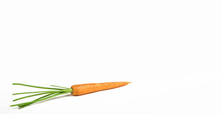 One yellow carrot with green stems isolated on white background with copy space. Eco market of fresh raw vegetables. Business card mockup design. Organic food. Poor harvest. Grown without fertilizers.の写真素材
