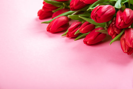 Rich bouquet of red tulips on pink background. Beautiful festive business card or certificate for congratulation text with copy space. Hello spring. Happy Valentine Day February 14. Woman day March 8.の写真素材