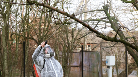 Gardener in protective clothing with a knapsack sprayer is spraying fruit tree with fungicide in a...