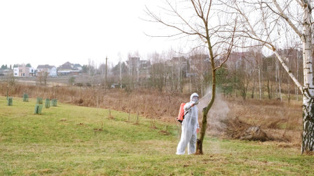 Gardener in protective clothing with a knapsack sprayer is spraying bush and tree with fungicide in a spring garden. Plant protection from diseases, insects and pests control. Highの写真素材