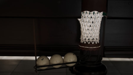 Playing Russian billiards. A middle billiard pocket full of white balls. A successful shot close up. Pastime playing sport game hobby. Side view.の写真素材