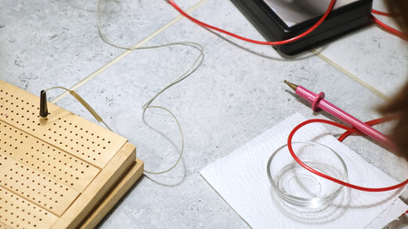 The wooden table plate and homeopathy medical device for electropuncture diagnostics using the...